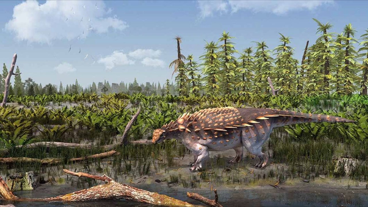 Forscher entdecken neue gepanzerte Dinosaurierart