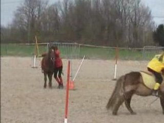 Clos des Groges 2 Mars 2008