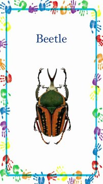 कीड़े मकोड़ों का नाम | Insects Name | Insects Name for Kids | Video for Kids | Insect #shorts #viral