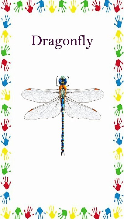 कीड़े मकोड़ों का नाम | Insects Name | Insects Name for Kids | Video for Kids |  Insect #shorts  #viral