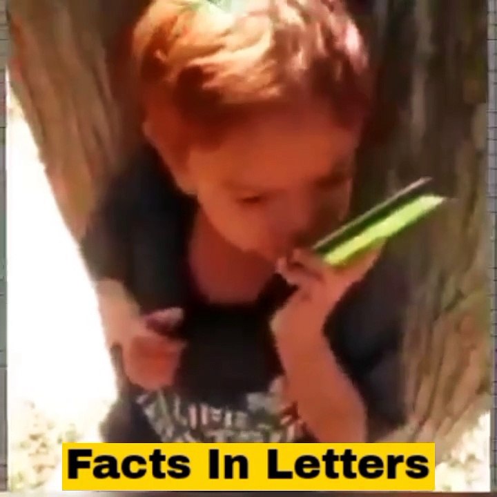 Kids who famous in one night