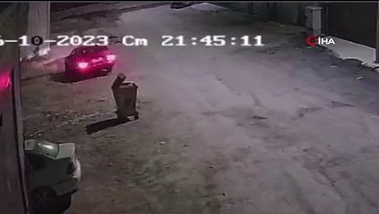 Vol de chien à Antalya devant la caméra