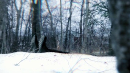 Season 1 of Almost Unsolved