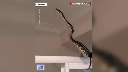 Evin banyosuna giren yılanla burun buruna geldi! O anlar kamerada