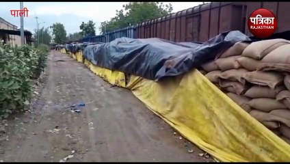 Biporjoy Cyclone: बोरियों पर तिरपाल ढका, फिर भी भीगा गरीब का गेहूं