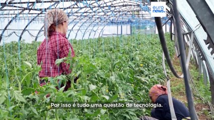 Destruição da barragem de Kakhovka gera outra guerra na Ucrânia