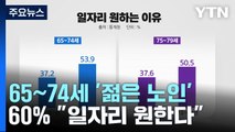 65~74세 '젊은 노인'  60% 