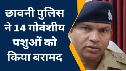 बस्ती: पुलिस को मिली बड़ी सफलता, तस्करों के चंगुल से छुड़ाए 14 गोवंशीय पशु