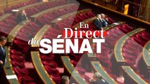 En direct du Sénat - En Direct Du Sénat du 15 juin