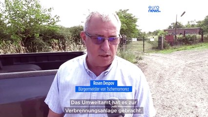 Tote Rinder an Bulgariens Stränden