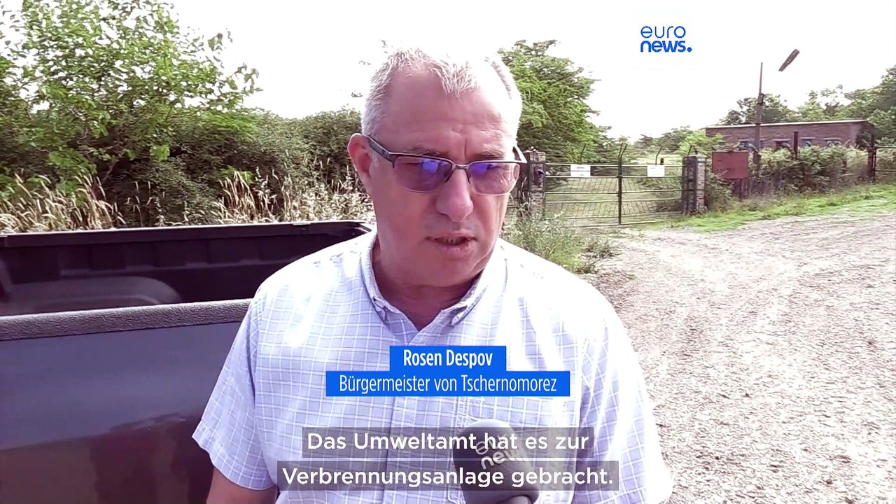 Tote Rinder an Bulgariens Stränden