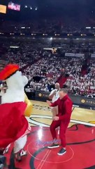 La follia di Conor McGregor, il pugno alla mascotte NBA