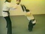 Scimmia karateka
