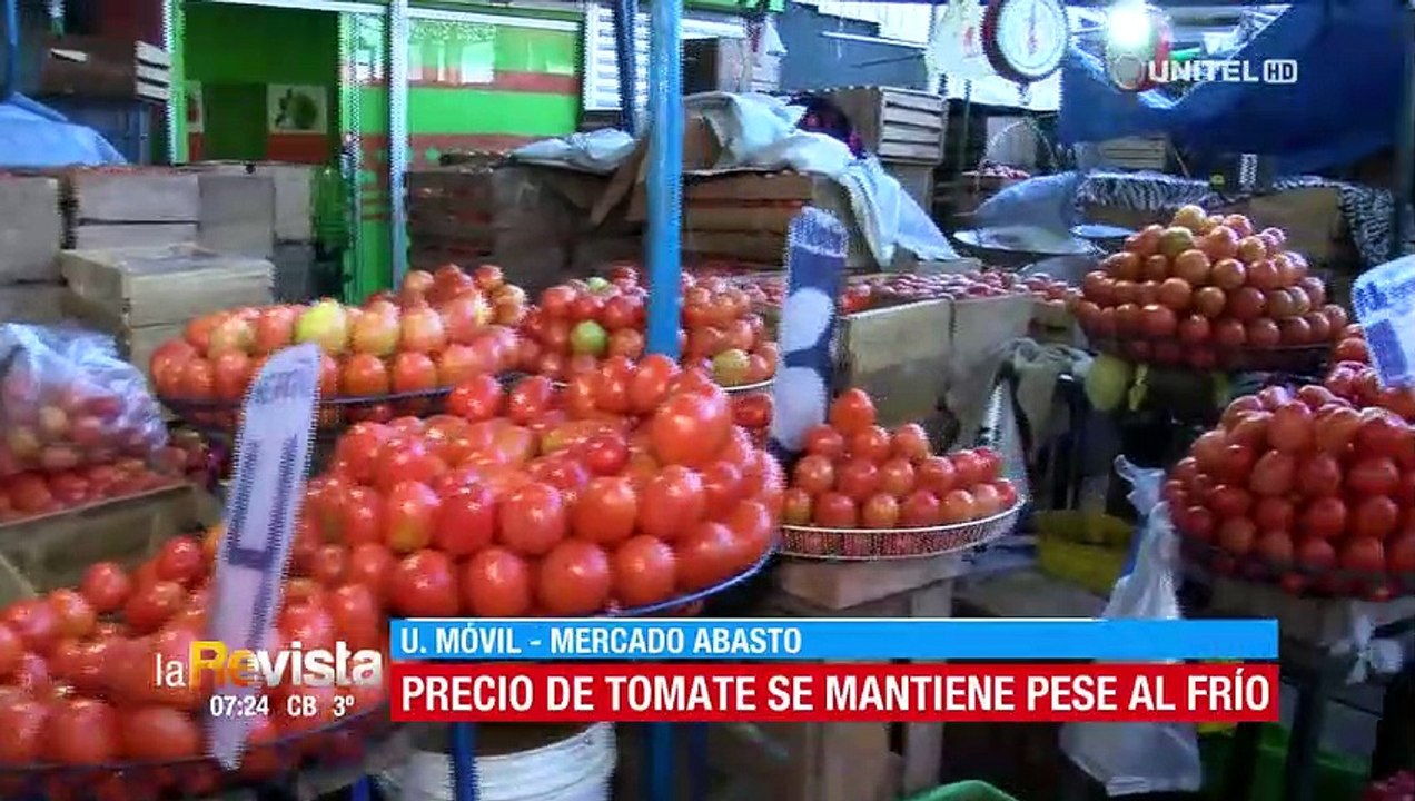 Precio del kilo de tomate se mantiene, pero se prevé una subida ante heladas en los Valles cruceños