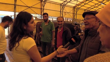 Vatandaşın kurbanlık isyanı: Tüm birikimimizi verdik borç bile alabiliriz