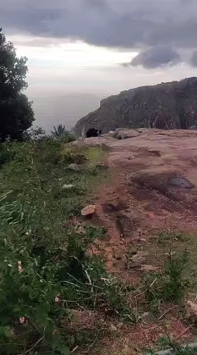 Watch | கொல்லிமலையில், உணவு தேடி ஊருக்குள் வந்த கரடியால் பரபரப்பு!