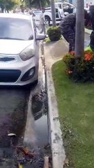 "Voy pa´ la UASD, voy pa´ la UASD", grita joven que es golpeado por policías
