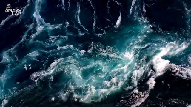 Orcas Are Now Attacking Boats Every Day, Even Sinking Some of Them