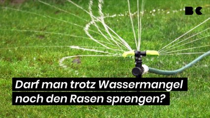 Darf man trotz Wassermangel noch den Rasen sprengen?