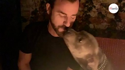 L’ex de Jennifer Aniston souhaite l’anniversaire de son chien  il en profite pour promouvoir l’adoption