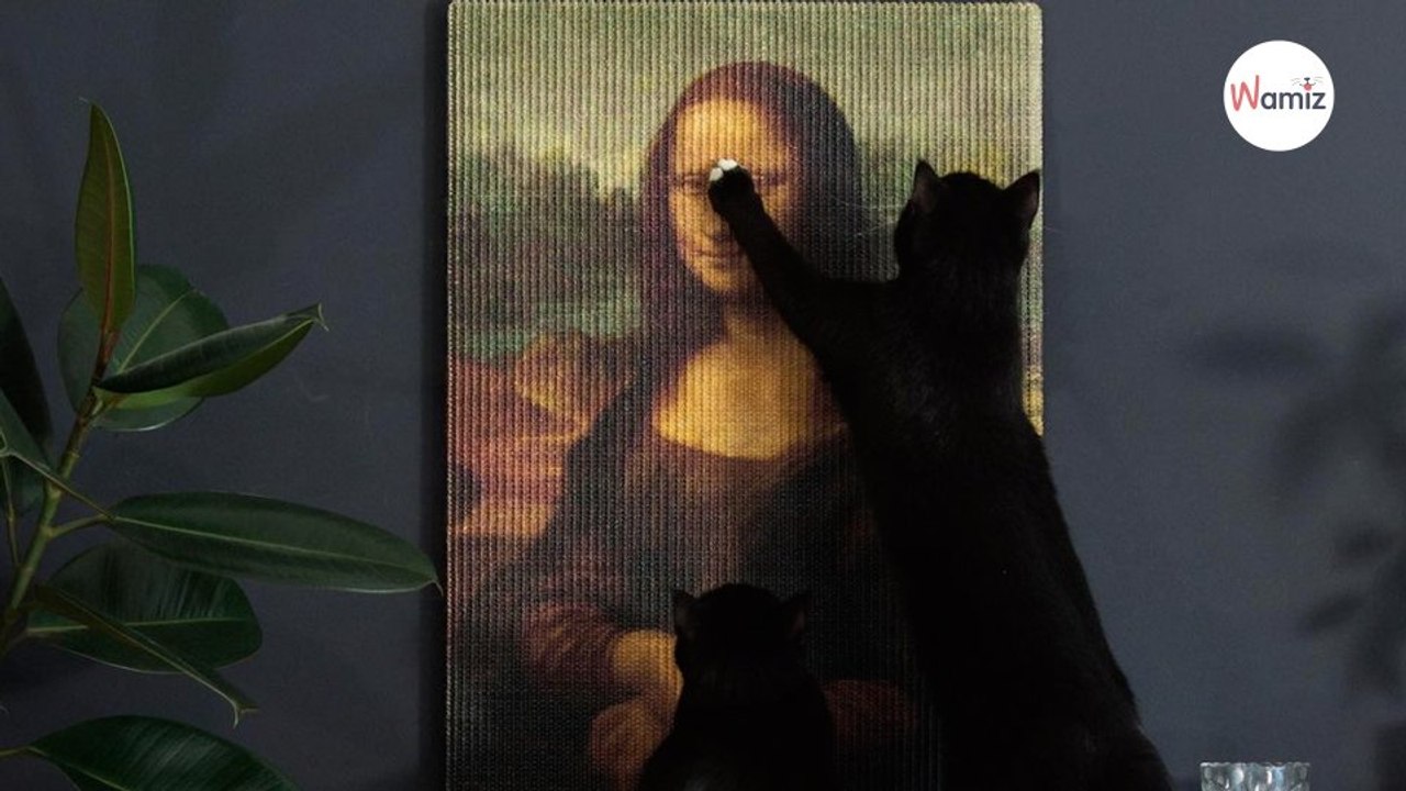 Leonard de Vinci, Johannes Vermeer …il détourne des tableaux célèbres pour en faire des griffoirs pour chat