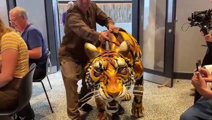 I met the life of Pi tiger puppet and it was so realistic it made my heart pound....