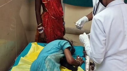 बिपर ज्वाय का असर : चलती बस पर गिरा पेड़