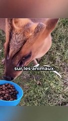 Tu penses quoi de la photo à la fin de la vidéo ?