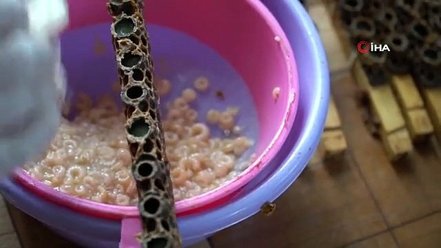 'Beyaz Altın' Arı Sütü 15 Bin Liradan Satılıyor