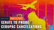 Cebu Pacific passengers decry ‘arbitrary’ flight cancellations, Senate probe set