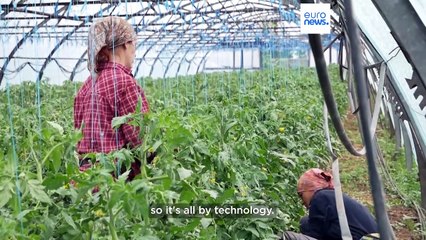 Ukrainian village concerned over future water supply after Kakhovka dam breach