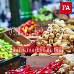 Cinq infos sur le marché du bio
