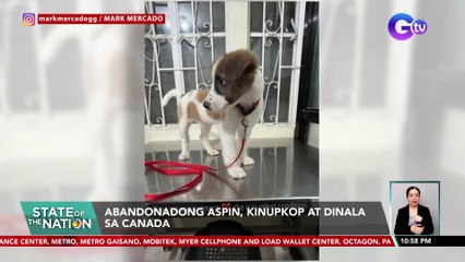 Abandonadong ASPIN, kinupkop at dinala sa Canada | SONA