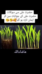 Ajmal Raza Qadri sab biyan