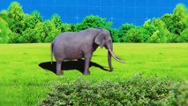 Why Do Elephants Destroy Trees