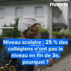 Niveau scolaire : 25 % des collégiens n’ont pas le niveau en fin de 3e, pourquoi ?