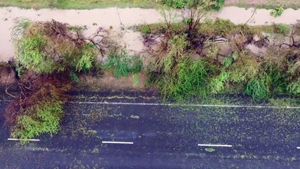 El ciclón Biparjoy deja estela de destrucción a su paso por la costa de India