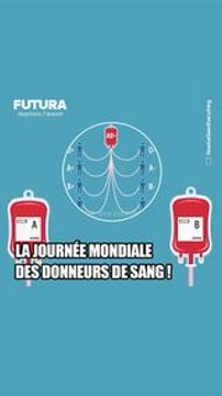 Journée mondiale des donneurs du sang : quel type de donneur êtes vous ?