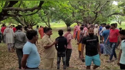 पश्चिमी चंपारण: बीटीआर के चक्रसन गांव के समीप मिला मृत हिरण, जांच में जुटा वन विभाग