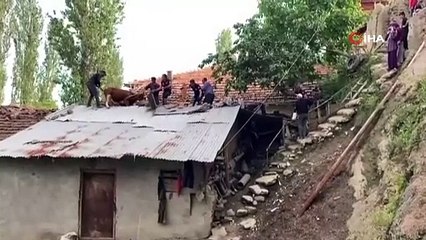 Çatıya çıkan ineği itfaiye ekipleri kurtardı