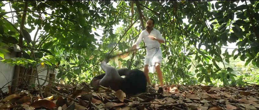 MAAMANNAN - Official Trailer _ Udhayanidhi Stalin _ A.R Rahman _ Vadivelu _ Mari Selvaraj