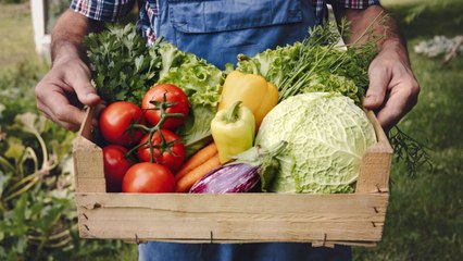 9 Easy Summer Vegetables to Grow in Your Garden