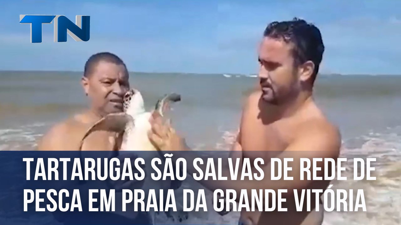 Tartarugas são salvas de rede de pesca am praia da Grande Vitória