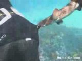 Baby Shark attacks a diver