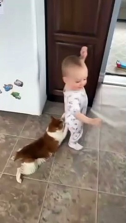cat Cutest thing you'll see today
