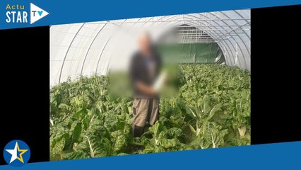 L'amour est dans le pré : Mort d'un agriculteur dans de terribles circonstances, une autopsie demand