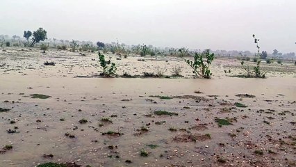 Bipperjoy Storm: बिपरजॉय ने किया बाड़मेर में प्रवेश, चालीस-पचास की स्पीड से चलीं हवाएं