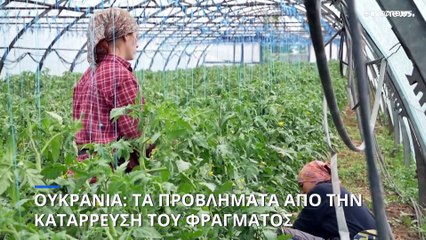 Σε απόγνωση οι ουκρανοί αγρότες