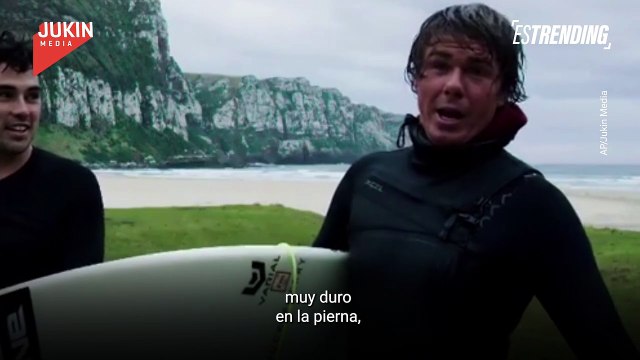 Jóvenes surfistas escapan de leones marinos sedientos de aventura