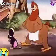Karton chicken karton, viral video,all afrin enter10 men